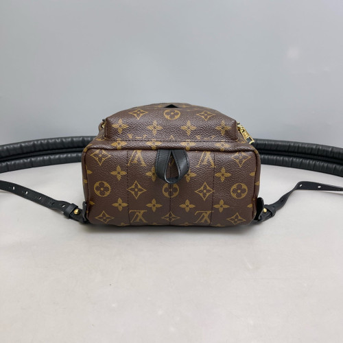 Louis Vuitton Palm Springs Backpack PM Monogram Brown Louis Vuitton Palm Springs Backpack PM Monogram Brown