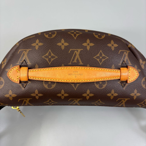 Louis Vuitton Bumbag Monogram Brown