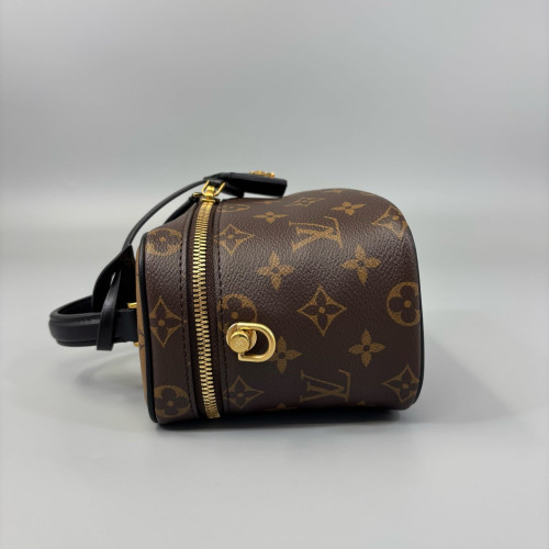 Louis Vuitton Vanity PM Reverse Monogram Brown Black