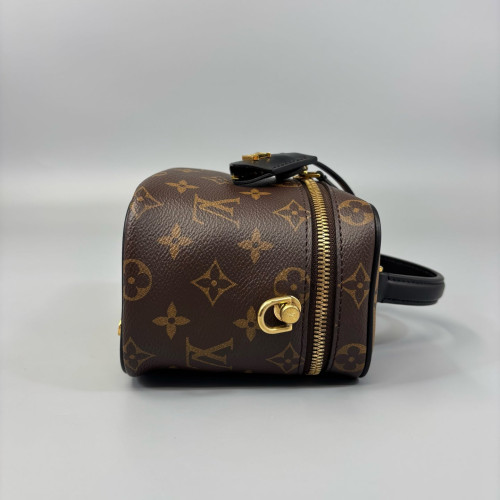 Louis Vuitton Vanity PM Reverse Monogram Brown Black