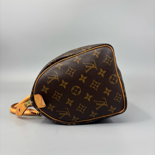 Louis Vuitton Speedy 25 Monogram Brown