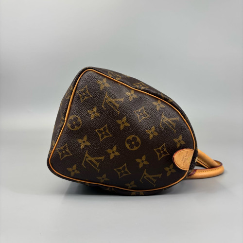 Louis Vuitton Speedy 25 Monogram Brown