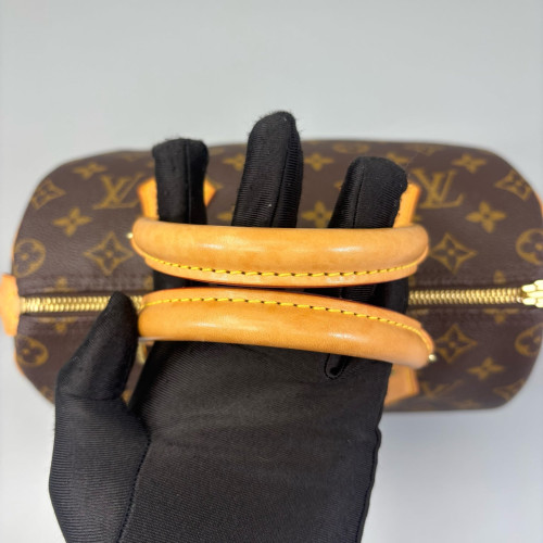 Louis Vuitton Speedy 25 Monogram Brown
