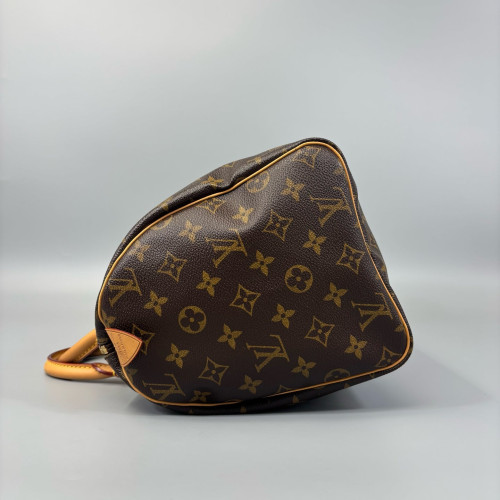Louis Vuitton Speedy 30 Monogram Brown