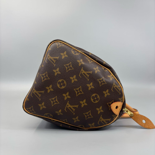 Louis Vuitton Speedy 30 Monogram Brown