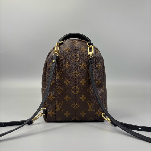 Louis Vuitton Palm Springs Backpack Mini Monogram Brown Black