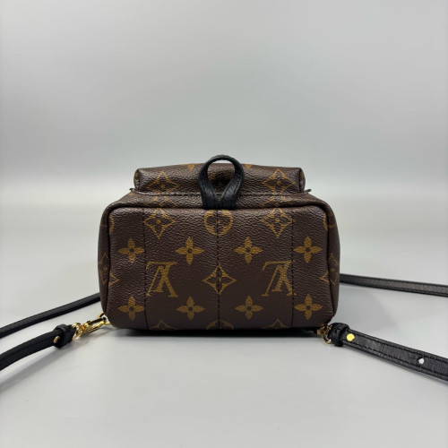 Louis Vuitton Palm Springs Backpack Mini Monogram Brown Black