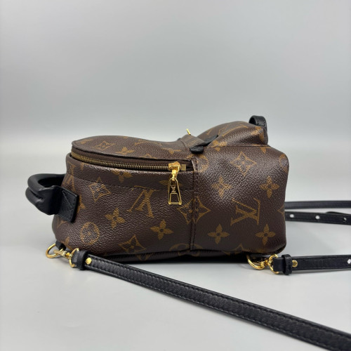Louis Vuitton Palm Springs Backpack Mini Monogram Brown Black