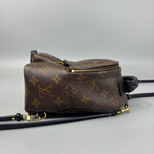 Louis Vuitton Palm Springs Backpack Mini Monogram Brown Black