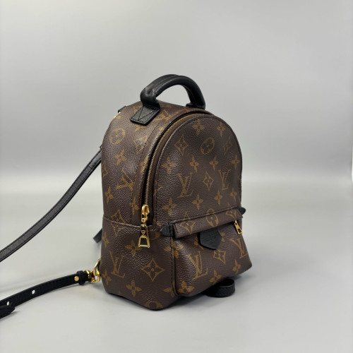 Louis Vuitton Palm Springs Backpack Mini Monogram Brown Black