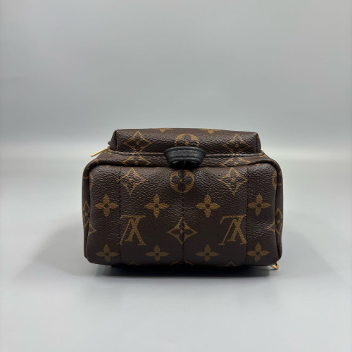 Louis Vuitton Palm Springs Backpack Mini Monogram Brown Black