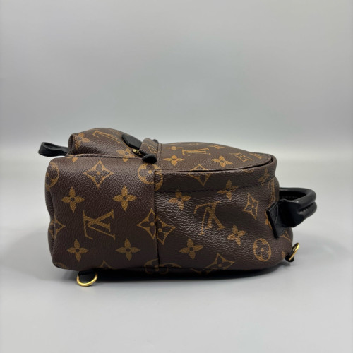 Louis Vuitton Palm Springs Backpack Mini Monogram Brown Black