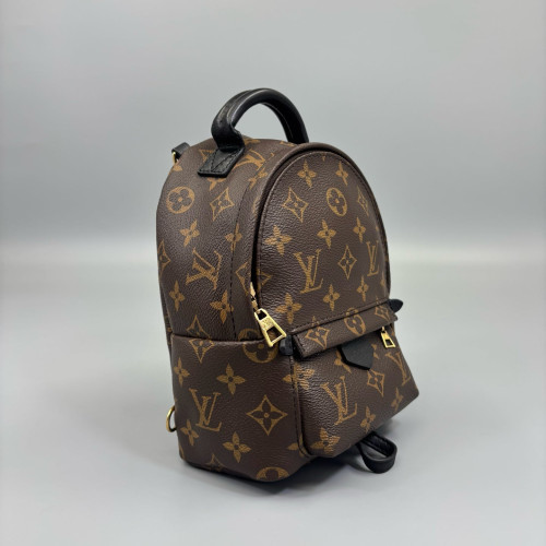 Louis Vuitton Palm Springs Backpack Mini Monogram Brown Black