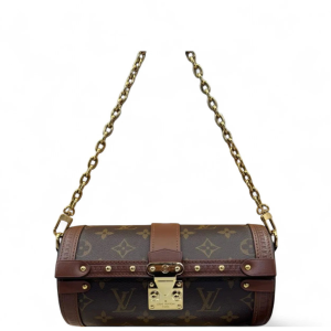 Louis Vuitton Papillon Trunk Monogram Brown