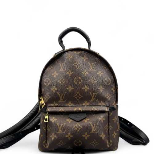 Louis Vuitton Palm Springs Backpack PM Monogram Brown