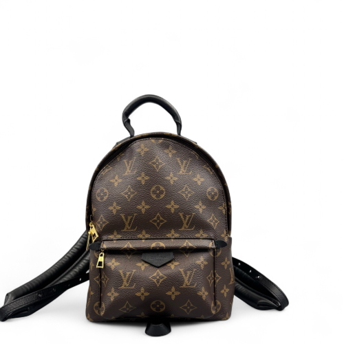 Louis Vuitton Palm Springs Backpack PM Monogram Brown