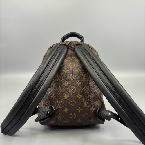 Louis Vuitton Palm Springs Backpack PM Monogram Brown