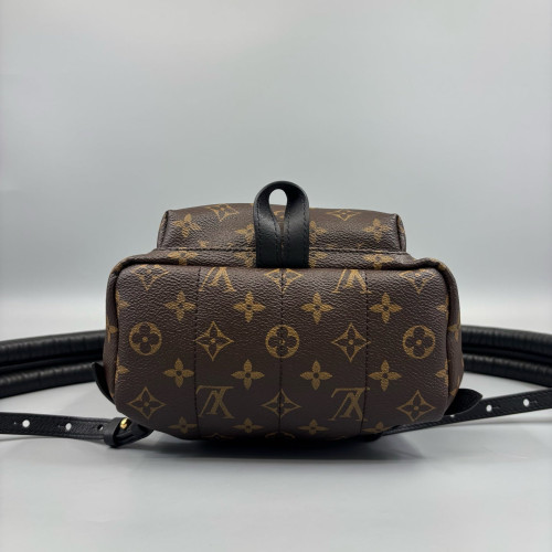 Louis Vuitton Palm Springs Backpack PM Monogram Brown
