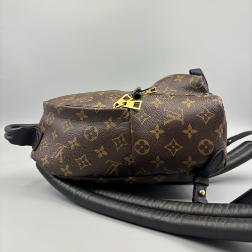 Louis Vuitton Palm Springs Backpack PM Monogram Brown