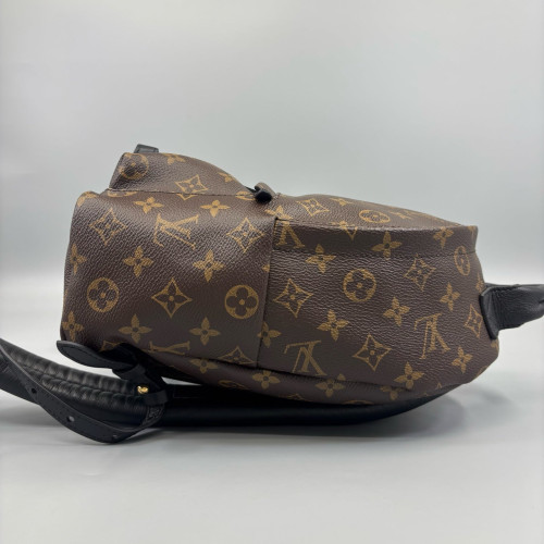 Louis Vuitton Palm Springs Backpack PM Monogram Brown