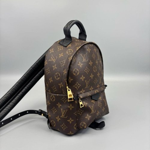 Louis Vuitton Palm Springs Backpack PM Monogram Brown