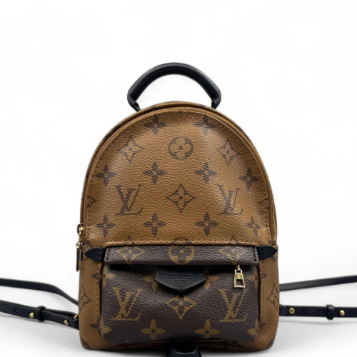 Louis Vuitton Palm Springs Backpack Mini Reverse Monogram Brown Black