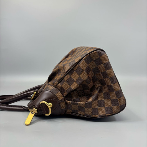Louis Vuitton Trevi PM Damier Ebene Brown