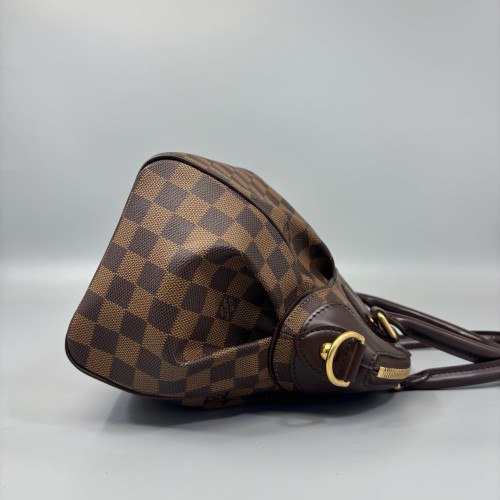 Louis Vuitton Trevi PM Damier Ebene Brown