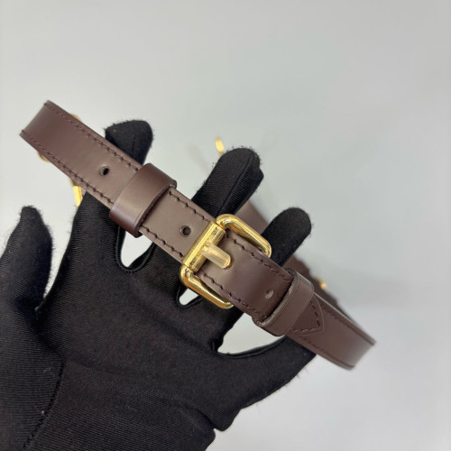 Louis Vuitton Trevi PM Damier Ebene Brown