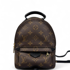 Louis Vuitton Palm Springs Backpack Mini Monogram Brown
