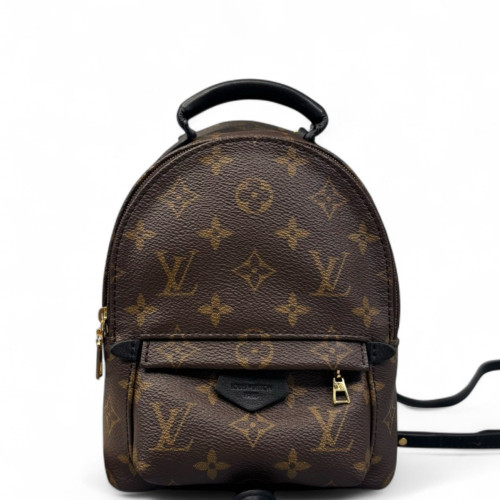 Louis Vuitton Palm Springs Backpack Mini Monogram Brown