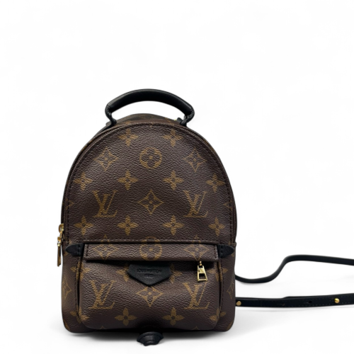 Louis Vuitton Palm Springs Backpack Mini Monogram Brown