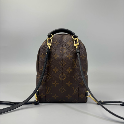 Louis Vuitton Palm Springs Backpack Mini Monogram Brown