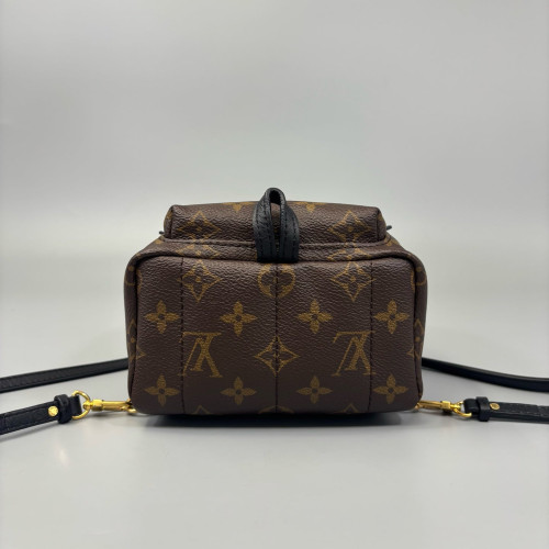 Louis Vuitton Palm Springs Backpack Mini Monogram Brown