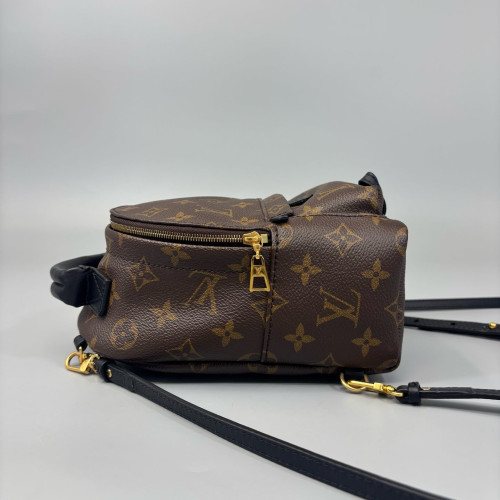 Louis Vuitton Palm Springs Backpack Mini Monogram Brown