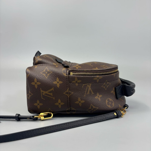 Louis Vuitton Palm Springs Backpack Mini Monogram Brown