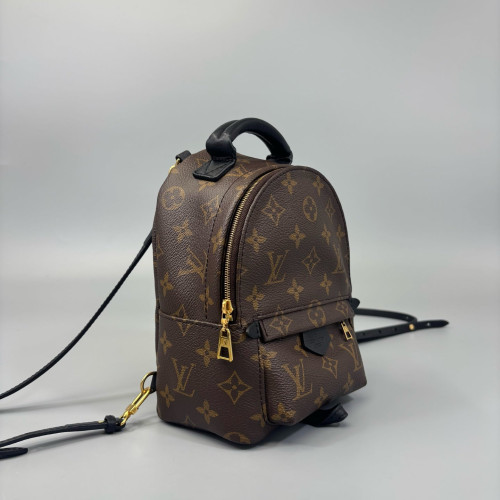 Louis Vuitton Palm Springs Backpack Mini Monogram Brown