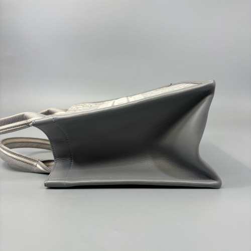 Dior New Small Book Tote Canvas Grey Beige