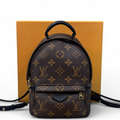 Louis Vuitton Palm Springs Backpack Mini Monogram Brown