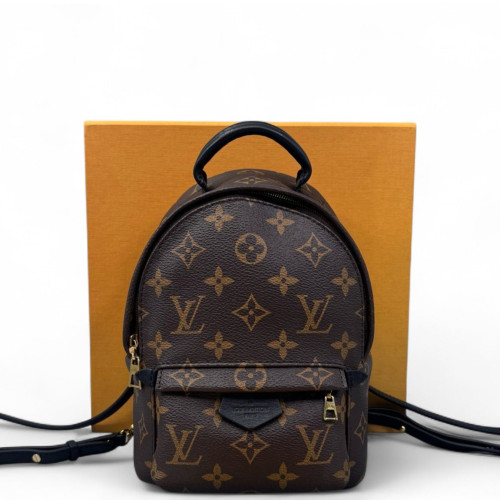 Louis Vuitton Palm Springs Backpack Mini Monogram Brown