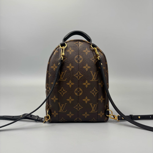 Louis Vuitton Palm Springs Backpack Mini Monogram Brown