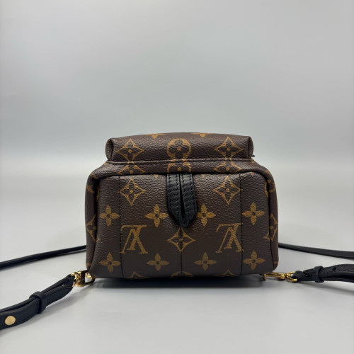 Louis Vuitton Palm Springs Backpack Mini Monogram Brown