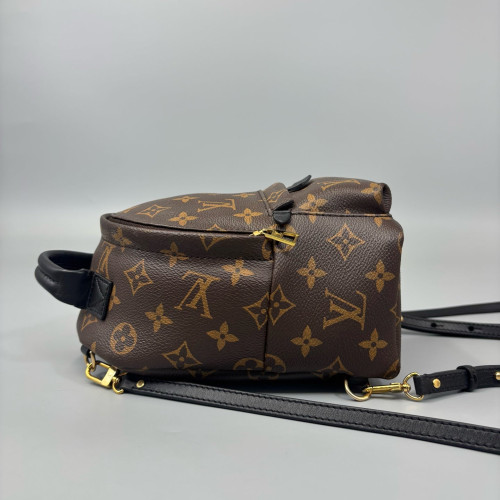 Louis Vuitton Palm Springs Backpack Mini Monogram Brown
