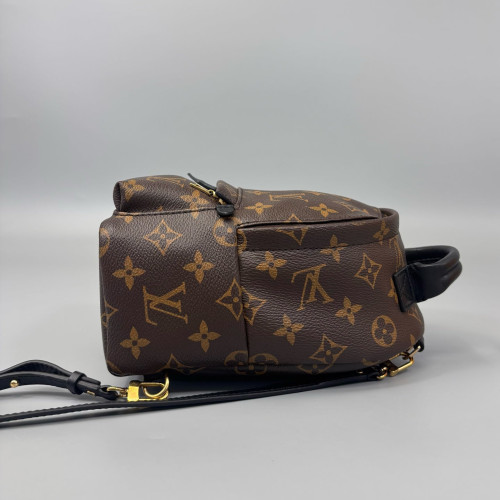Louis Vuitton Palm Springs Backpack Mini Monogram Brown