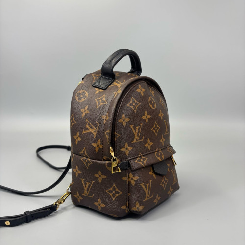 Louis Vuitton Palm Springs Backpack Mini Monogram Brown