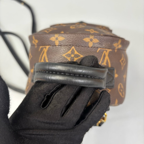 Louis Vuitton Palm Springs Backpack Mini Monogram Brown