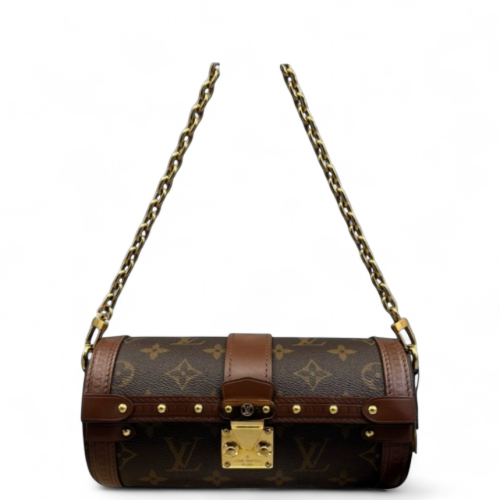 Louis Vuitton Papillon Trunk Monogram Brown