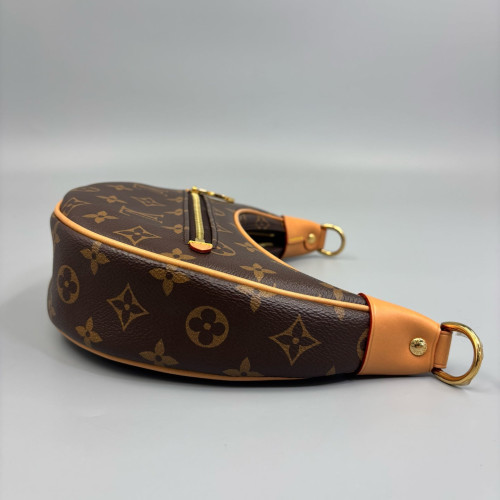 Louis Vuitton Loop Monogram Brown