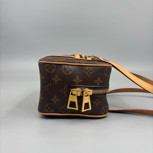 Louis Vuitton Cite Monogram Brown