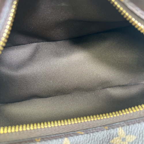 Louis Vuitton Cite Monogram Brown
